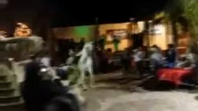 Танцующая лошадь смотреть онлайн