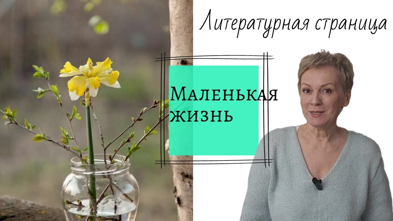 Литературная страница. Маленькая жизнь. смотреть онлайн