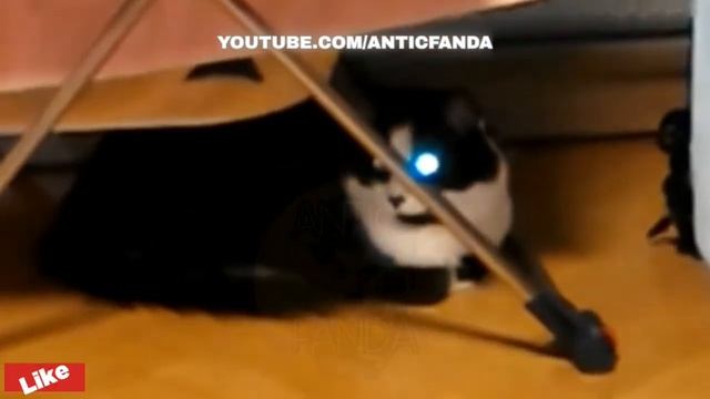 NEAR DEATH CAPTURED by GoPro and camera, Something Chaos Gone Wrong Go Pro #9 смотреть онлайн