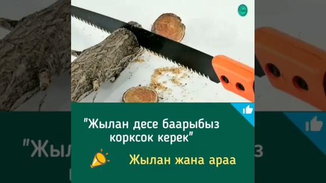 4 апреля 2019 г.(36)