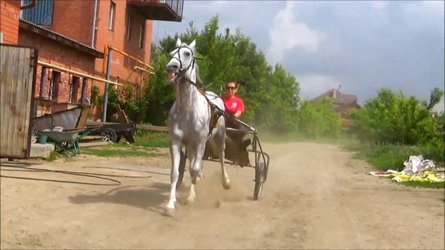 Продан смотреть онлайн