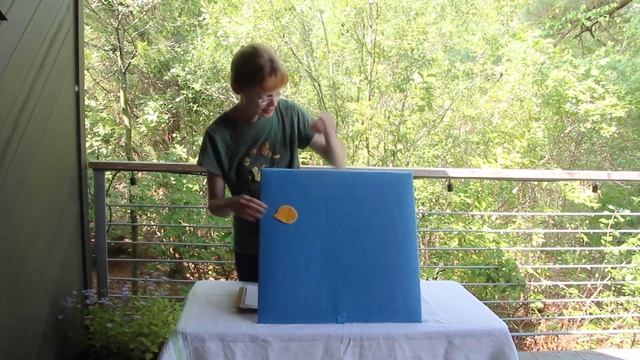 Birds, Bees, and Dandelion Seeds: Day 4 – Bee Anatomy смотреть онлайн