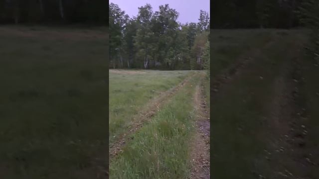 Желудок!функции,диета,симптомы,денол и нексиум.... смотреть онлайн
