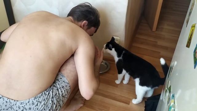 Псих под солями набрызгал на кошку кошачьей мятой и ждет реакции смотреть онлайн