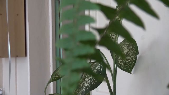 1 сентября Анапа 2020 смотреть онлайн