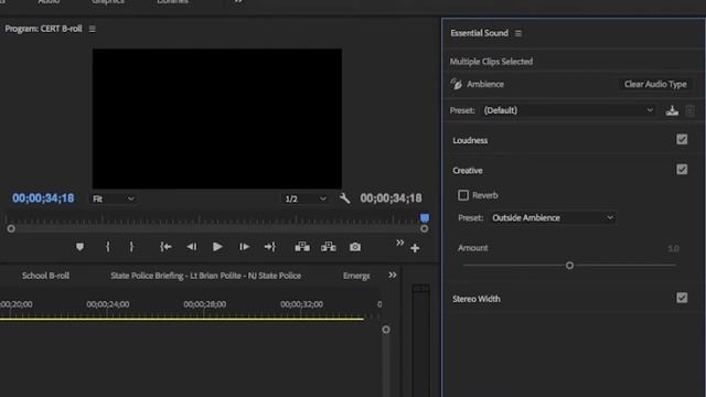 Using Adobe Premiere Pro's Essential Sound Panel