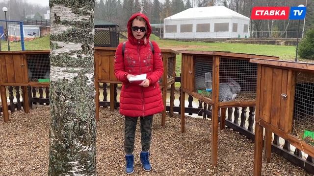 РОССИЯ - ШВЕЦИЯ. Прогноз Мироновой смотреть онлайн