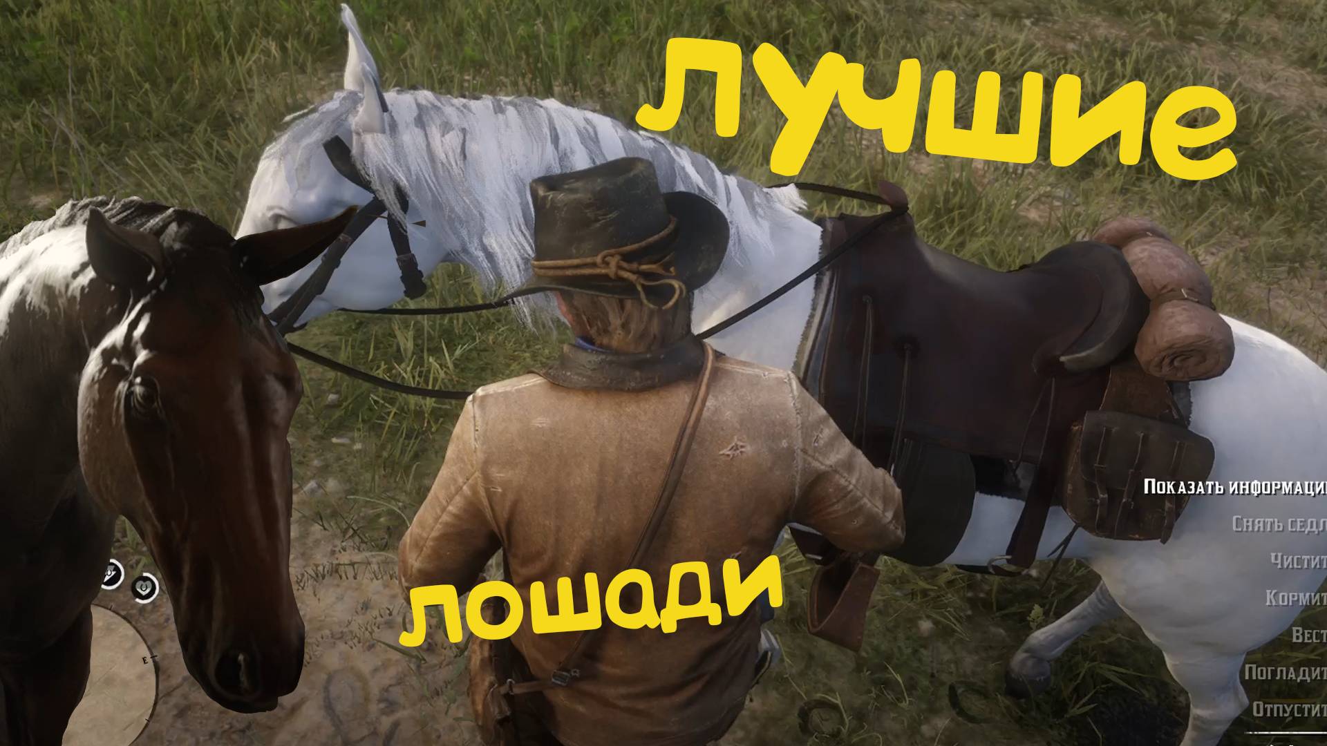 Где найти самых лучших лошадей в Red Dead Redemption 2?