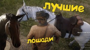 Где найти самых лучших лошадей в red dead redemption 2?