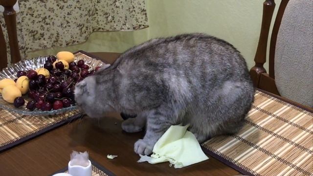 Кузьма хулиганит :-) смотреть онлайн