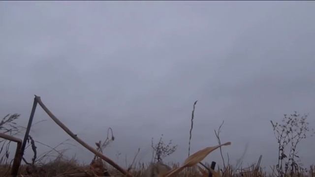 АРКАЛЫК 11 10 2013 Охота на гуся смотреть онлайн