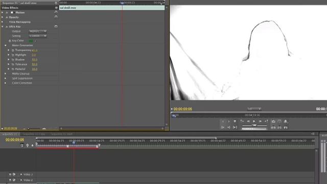 Keying in Premiere Pro CS5 смотреть онлайн