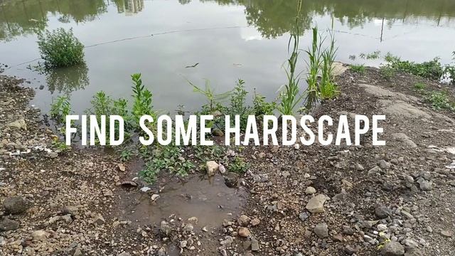 *HOW TO MAKE A FISH TRAP*-INDIAN BIOTOPE(PART 1) смотреть онлайн