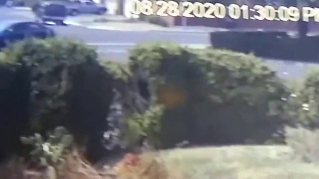 WTF three min. after I left? смотреть онлайн