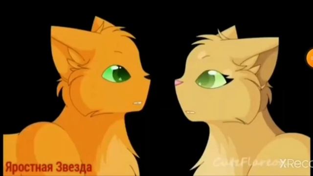 Огнезвёзд и Песчаная буря(Песня это не девочка это беда) смотреть онлайн