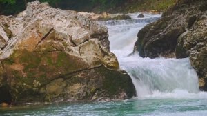 Frdrique Zoltane Titre A - Wonderful Life