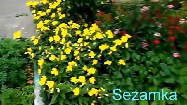 Дом № 32Б Гонгадзе Георгия пр Подольский район Улицы Киева смотреть онлайн