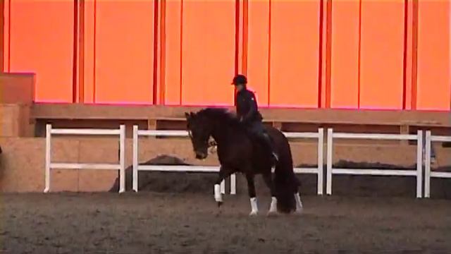 Soustředění 2013 E.Jančařová. смотреть онлайн