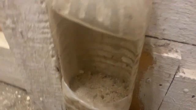 Наклёв начался🐣В инкубаторе РЯБА 36 И ПОД КВОЧКОЙ_ 20 день инкубации_мастерюКомнатуЦЫПЛЯТАМ_27,03,2 смотреть онлайн