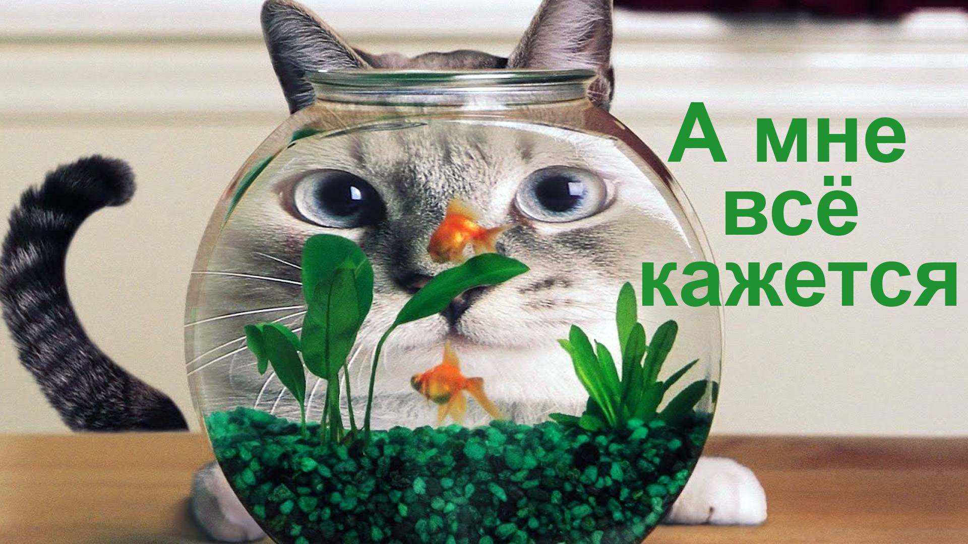 А мне всё кажется … смотреть онлайн