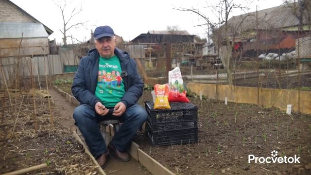 ПЕРВАЯ И САМАЯ ВАЖНАЯ ПОДКОРМКА ЧЕСНОКА И ЛУКА! Быстро пойдут в рост и не будут желтеть смотреть онлайн