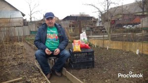 ПЕРВАЯ И САМАЯ ВАЖНАЯ ПОДКОРМКА ЧЕСНОКА И ЛУКА! Быстро пойдут в рост и не будут желтеть