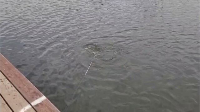 31-03-2025 смотреть онлайн