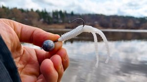 ДА ЧТО ТЫ ПОДЕЛАЕШЬ, ОПЯТЬ СУДАК НА НЕЁ КЛЮЁТ! Рыбалка на спиннинг в 2025