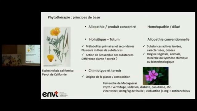 Soirée NeoCare 11 juin 2019 - Phytothérapie chez le chien et le chat - Conférence n°2 смотреть онлайн