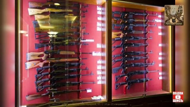 Нарезное оружие в новых правилах охоты