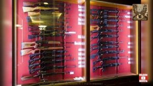 Нарезное оружие в новых правилах охоты