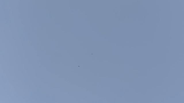 Голуби в небе… смотреть онлайн
