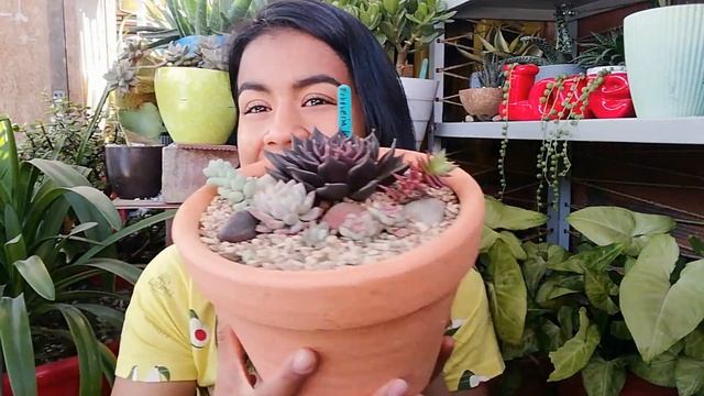 COMPRÉ LAS SUCULENTAS MÁS CARAS DEL VIVERO Y MÁS MACETAS DE BARRO 🌱🛒 | Jardines by Angie смотреть онлайн