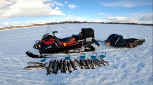 Рыбалка на таёжном озере. Щука на жерлицы. 29.03.2025