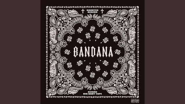 BANDANA BASS BOOSTED