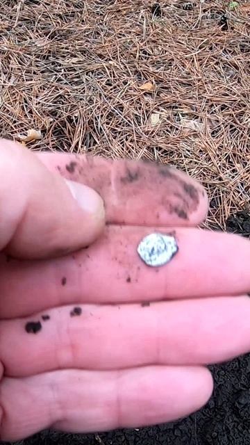 Первая чешуя с металлоискателем Дэус 2 смотреть онлайн