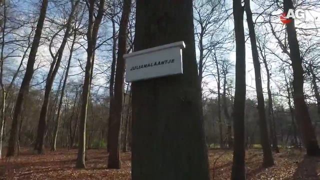 Park Soestdijk Beeldig AmersfoortGezien смотреть онлайн