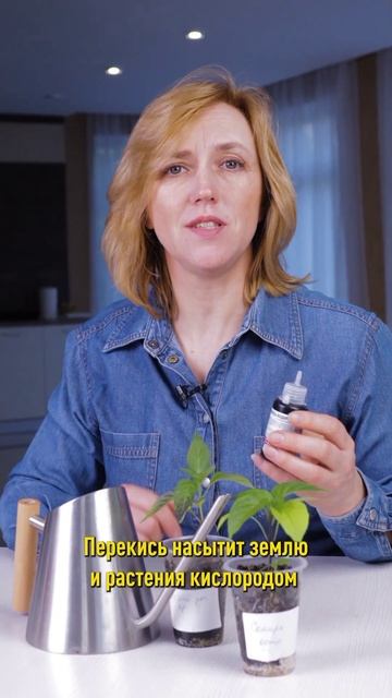 1 ложка – и рассада оживает на глазах! Чем полить рассаду, чтобы росла крепкой и урожайной смотреть онлайн