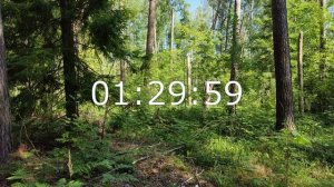 ⏰ТАЙМЕР 3 часа | Обратный отсчет времени