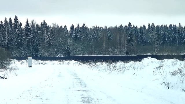 Путешествие в зимнюю ❄️ 4 очередь Вельга парка ⛄️🌲🚗 смотреть онлайн