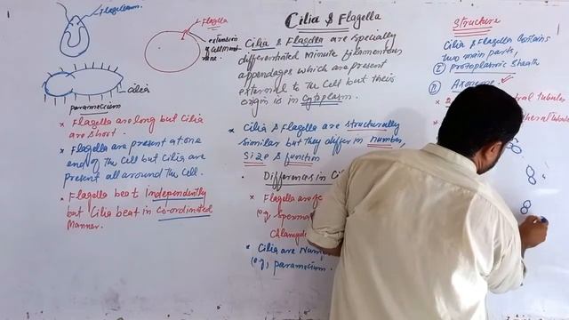 Celia and Fligella and differences in Celia and Fligella ||Cell Biology ||Chapter No 1 class 11th смотреть онлайн