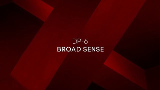 DP-6 - Broad Sense смотреть онлайн