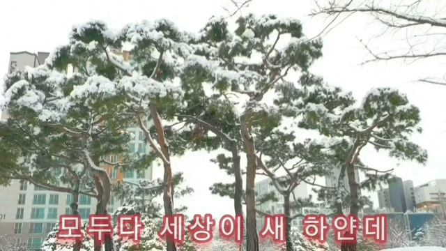 눈이 내리는데 # 최무룡 노래 ♡한운사 작사-손석우 작곡 - 영상과 함께 смотреть онлайн