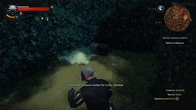 Побег чародеев ► The Witcher 3 Wild Hunt #34