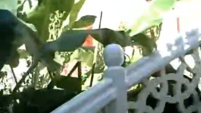 Ali bEy смотреть онлайн