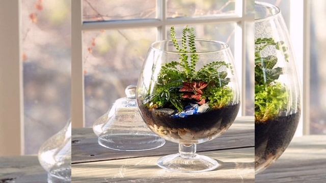 100 Modern Home Indoor Plants Ideas//Creative ideas for decorating with indoor plants смотреть онлайн