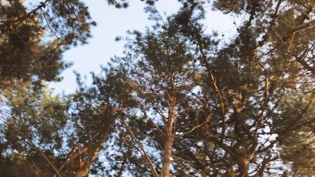 To the Moon and Back - Komorebi (Beneath The Wind) смотреть онлайн