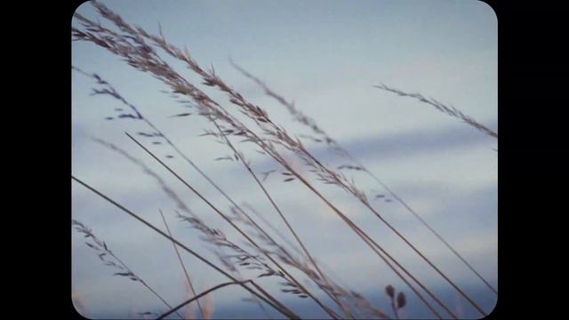 Project SMOK - Toria's смотреть онлайн