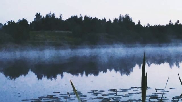 Красота вечерней рыбалки 🌅🐟 смотреть онлайн