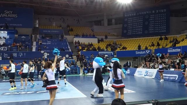 현대캐피탈 스카이워커스 Skywalkers  LIG전 선수 소개